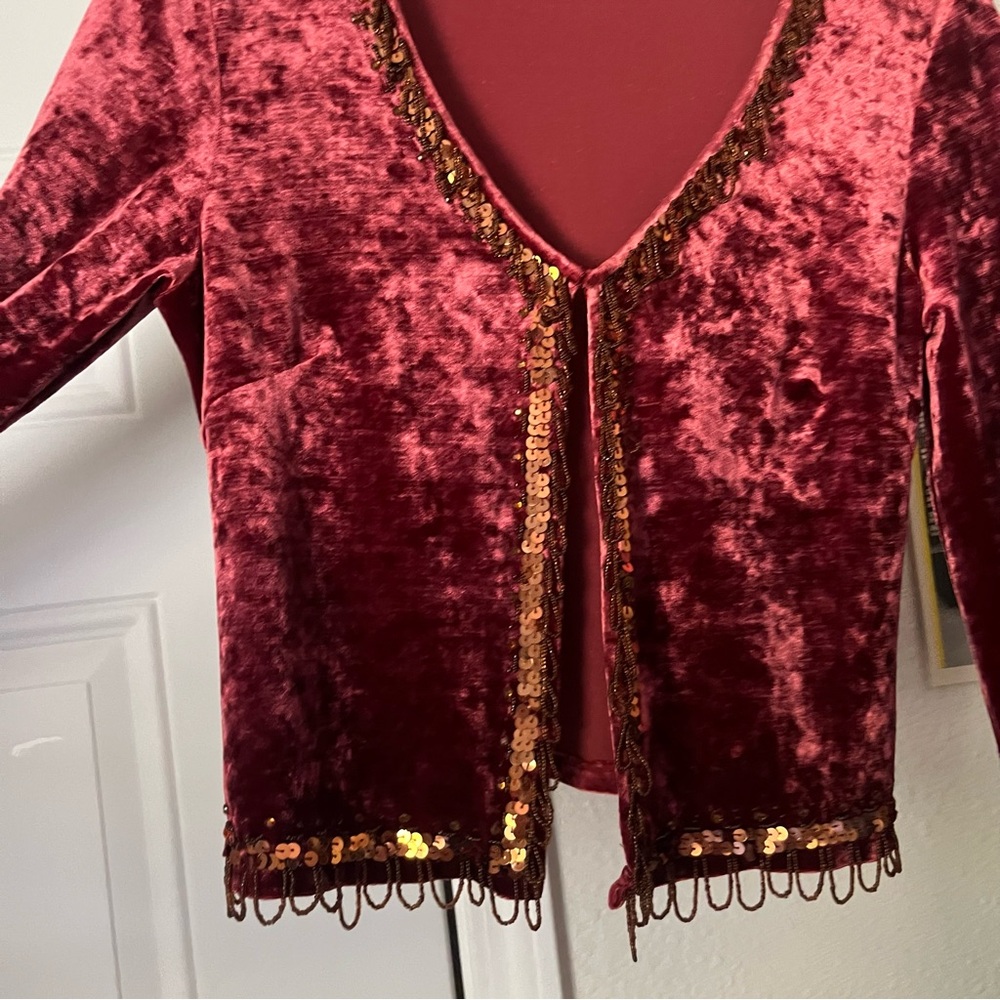 BY DEEP LOS ANGELES vintage burgundy red crushed velvet sequin beaded fringe top - Picture 4 of 8